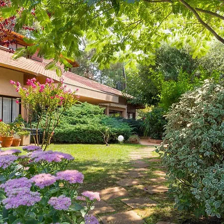 Hoteliere Les Acanthes