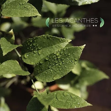Résidence Hôtelière Les Acanthes 2*