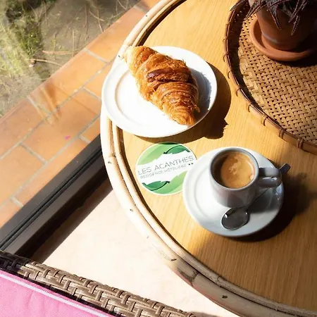 Résidence Hôtelière Les Acanthes Appart hôtel Soorts-Hossegor