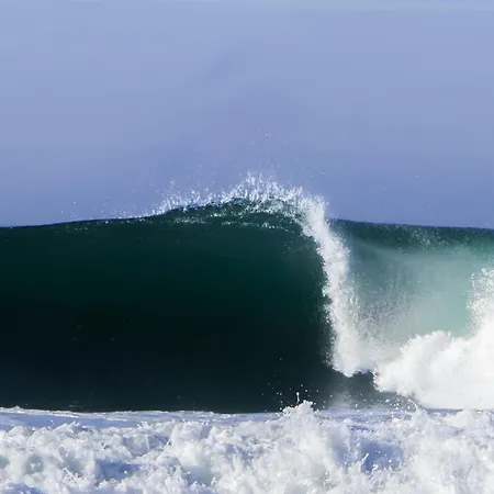 Hoteliere Les Acanthes מלון דירות סורטס הוסגור