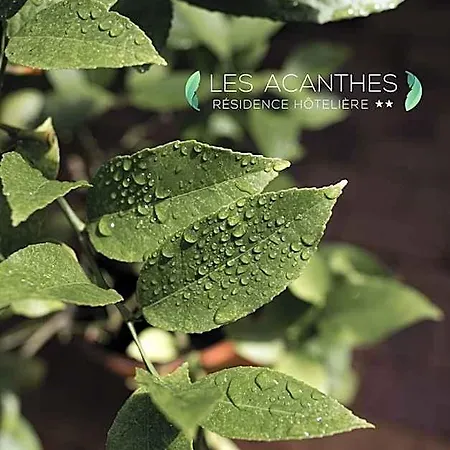 Hoteliere Les Acanthes شقة فندقية سورت-هوسيغور