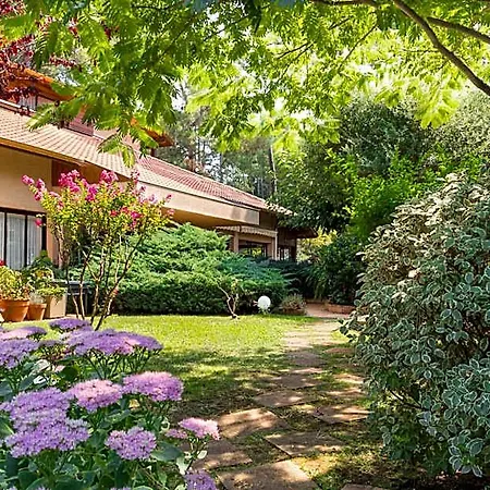 Hoteliere Les Acanthes شقة فندقية سورت-هوسيغور