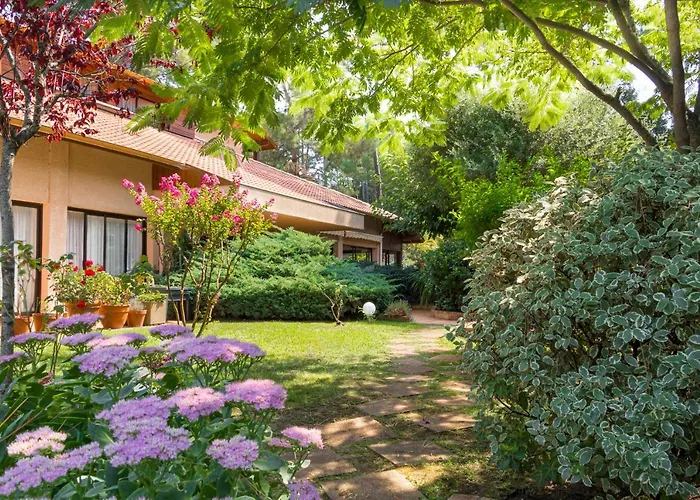 Hoteliere Les Acanthes