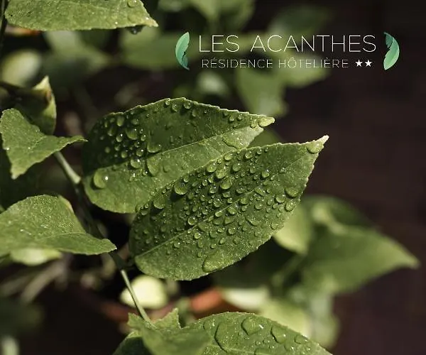 Hoteliere Les Acanthes 2*