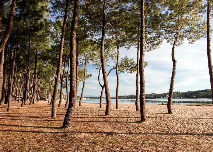Hoteliere Les Acanthes Lejlighedshotel