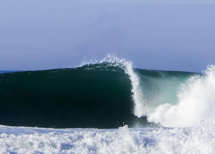 Hoteliere Les Acanthes Lejlighedshotel Soorts-Hossegor